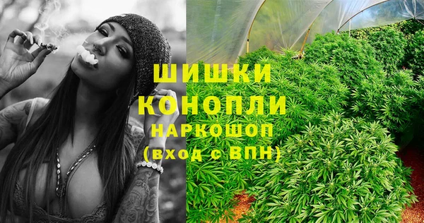 гидропоника Михайлов
