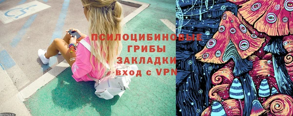Альфа ПВП Апатиты
