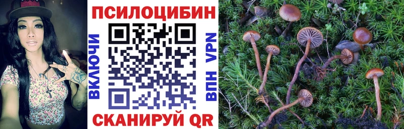 Галлюциногенные грибы MAGIC MUSHROOMS дарнет шоп Трёхгорный